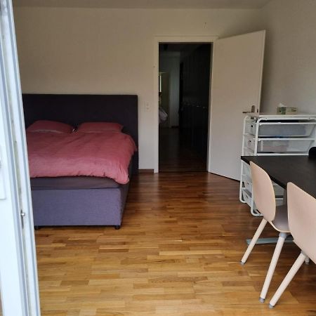 Chambre Lumineuse Dans Une Grande Villa Le Landeron Ngoại thất bức ảnh